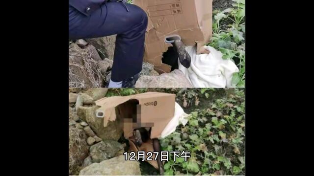 拾荒老人错把硅胶娃娃当成女尸报警,情趣品商家:建议剪碎后分次丢掉