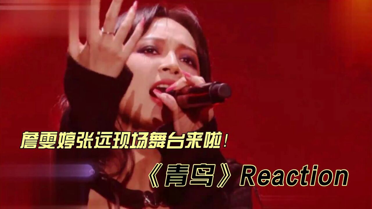 詹雯婷张远现场舞台《青鸟》reaction