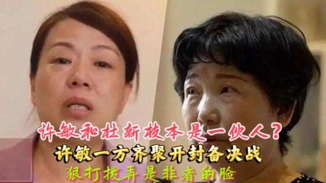 许敏和杜新枝本是一伙人?许敏一方齐备决战,狠打拨弄是非者的脸