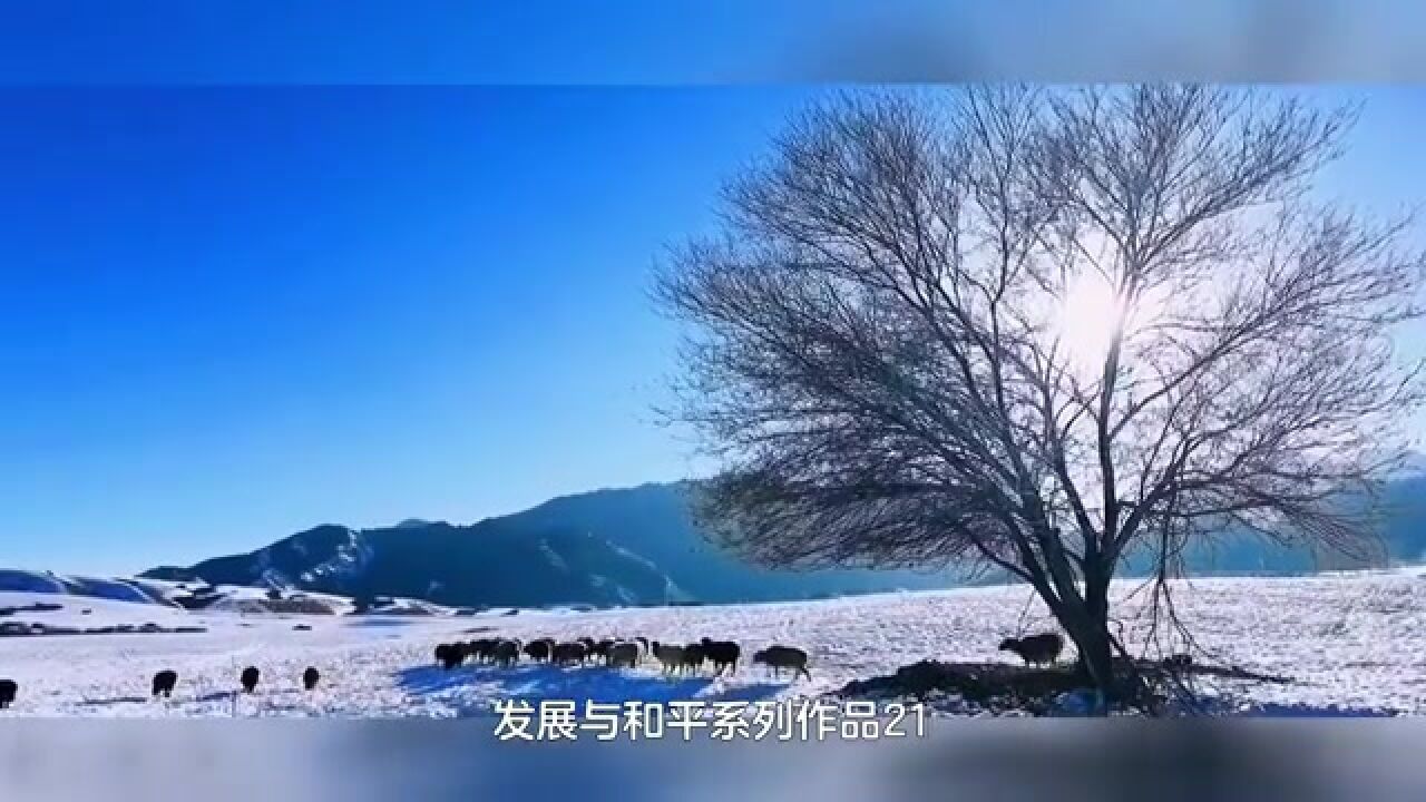 21基础篇社会基本矛盾激化贫富分化【张延年博主】