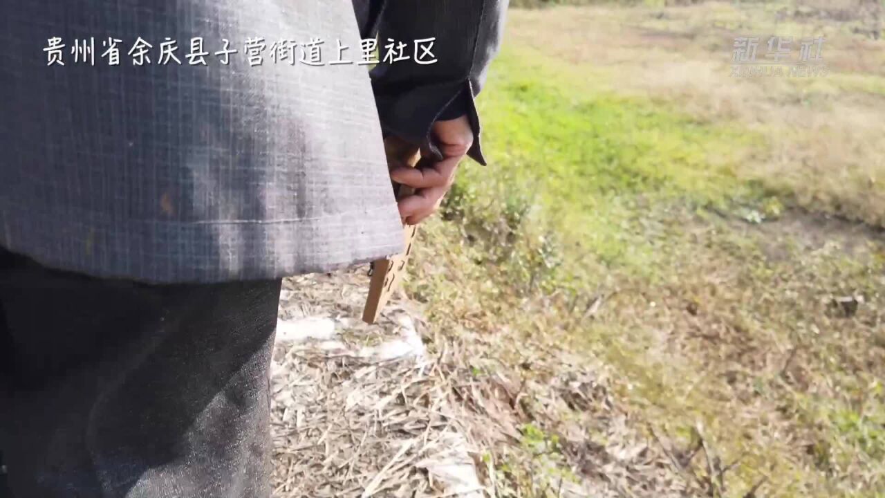 新华全媒+|鼠口夺粮农民得利 “治鼠达人”与他的治鼠经