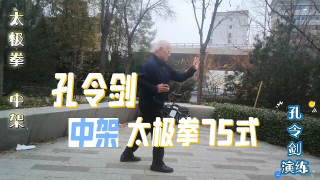 孔令剑老师演练七十五式太极拳(中架)221118