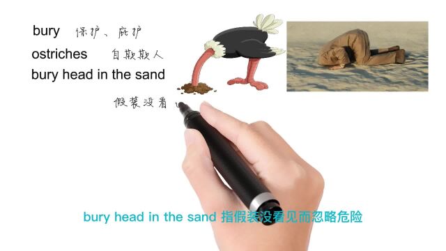 英语思维解密,为什么bury head in the sand表示拒绝处理不愉快的事情,轻松学英语