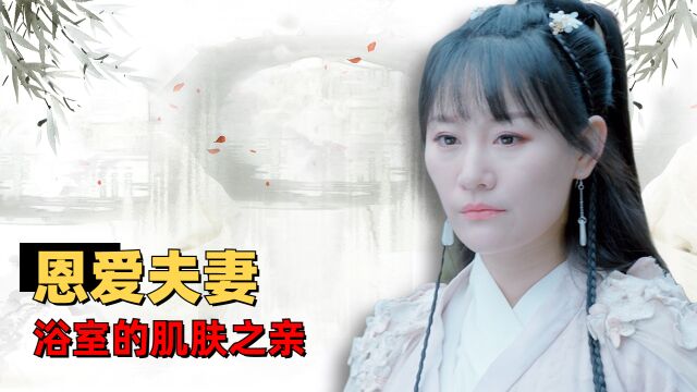 王府小甜心:一场被大人安排的婚姻,成王为新王妃休妾