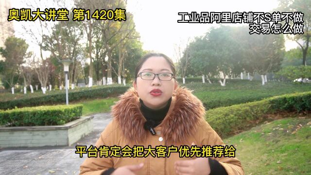 1420 工业品阿里店铺不S单不做交易怎么做