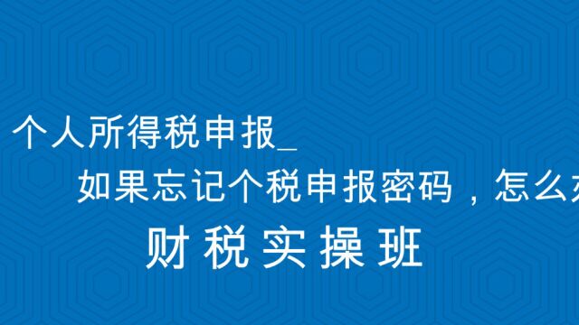 个人所得税申报如果忘记个税申报密码,怎么办?