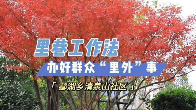 012酃湖乡清泉山社区:里巷工作法,办好群众“里外”事