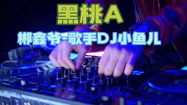 DJ欢快音乐