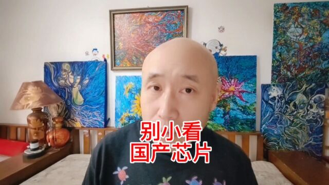 别小看国产芯片