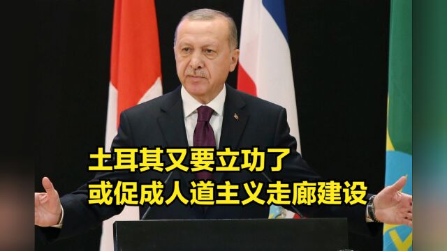 土耳其又要立功了,埃尔多安欲与俄乌总统讨论:建立人道主义走廊