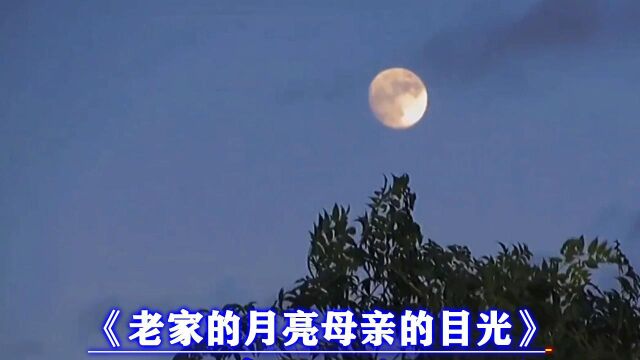 老家的月亮母亲的目光》王爱华 (DJ默涵版)伴奏