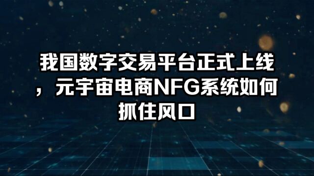 我国数字交易平台正式上线,元宇宙电商NFG系统如何抓住风口?