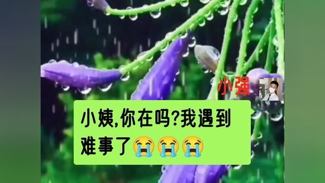 #聊天记录