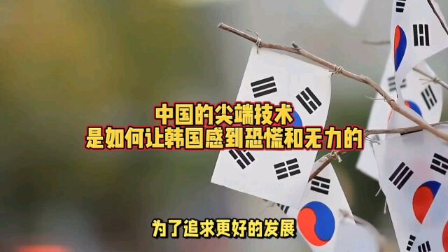 中国技术让韩国“哭晕在厕所”