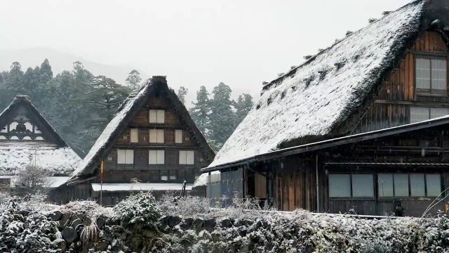 雪or雨 95年入选世界遗产 日本古朴村庄白川乡