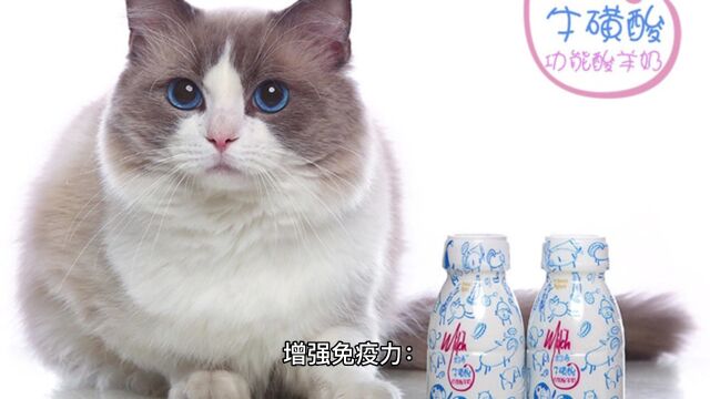 猫咪酸奶大揭秘:神奇美味还是禁忌?让你的爱宠健康翻倍的秘诀!