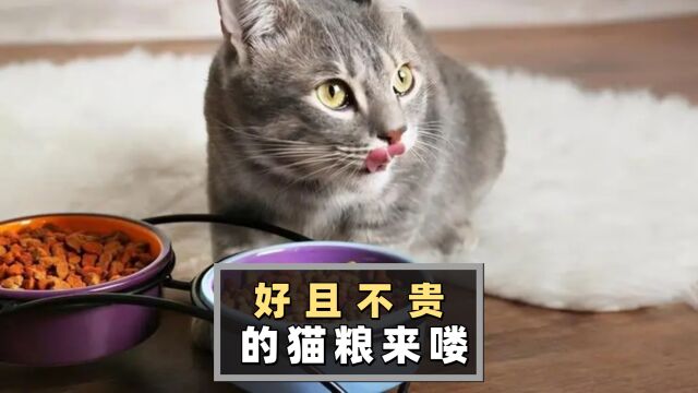 好而不贵的猫粮排行来喽,赶紧来看!