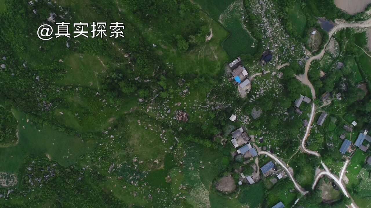 航拍大秦岭7:圆顶大山:一半草地一半森林 ,甘肃陇南市礼县洮坪乡大山村