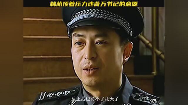 林荫顶着压力违背万书记的意愿,答应王利民帮他,把信转交给赵老