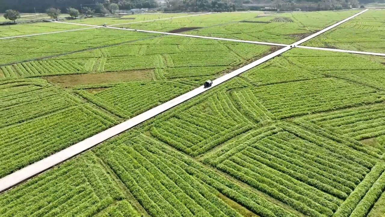 新华全媒+|春耕有序有力 筑牢粮食丰收之基