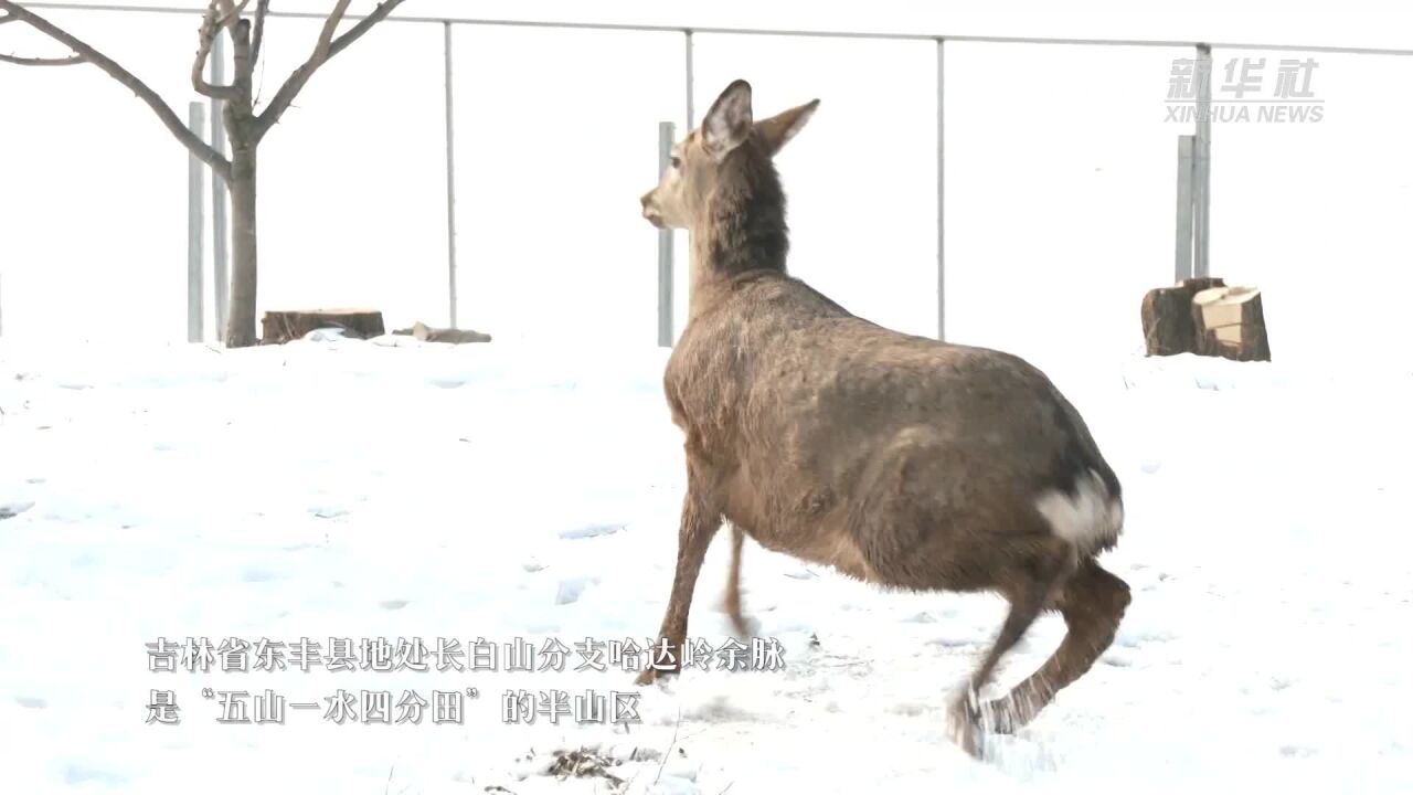 千城胜景|吉林东丰:把“冰”言欢 热“雪”沸腾