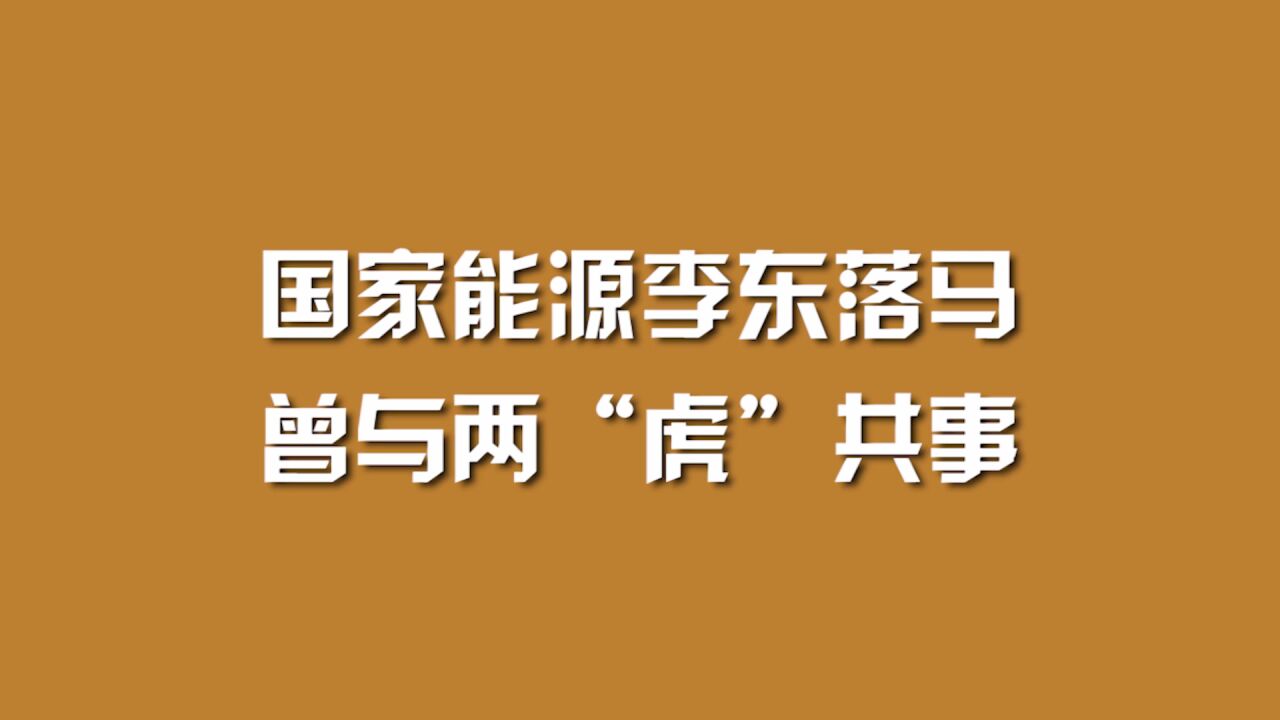 国家能源李东落马,曾与两“虎”共事.