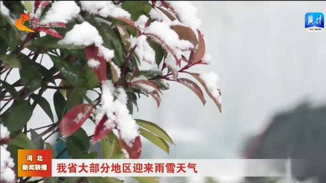 河北省迎来今年立春后第一场雪