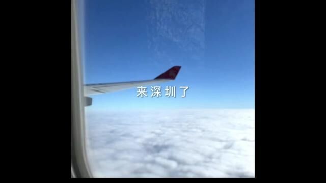 广东省深圳市,深圳旅行流水账vlog