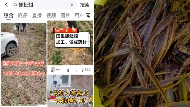 电捕野生蚯蚓机器仍在网上出售!有商家称去年收了几百斤成品