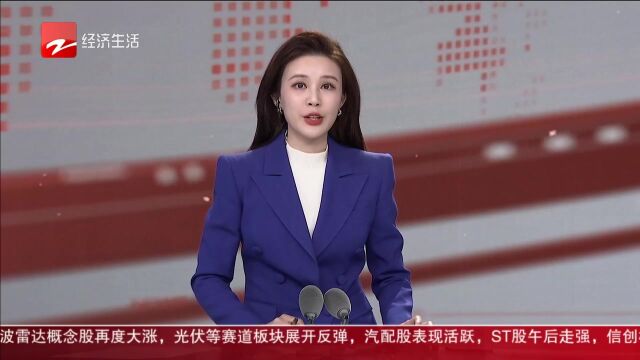 湖州:助企纾解用工难 顺利招引新青年蓝领人才