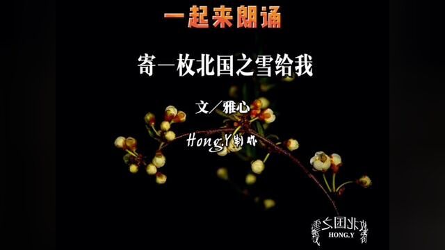 《寄一枚北国之雪给我》 #朗诵 #合拍 #情感 #诗词 #创作灵感 我在江南之南 等一场北国之雪