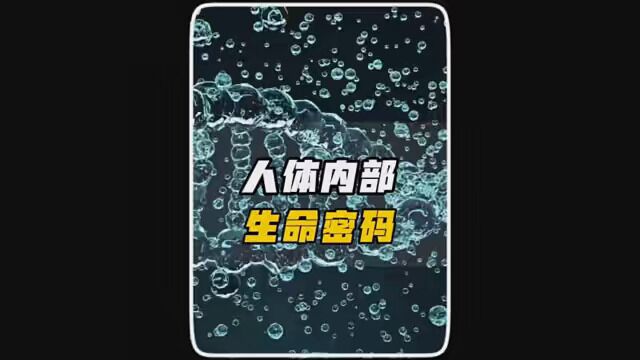 探索人体内部的生命密码,你知道吗?