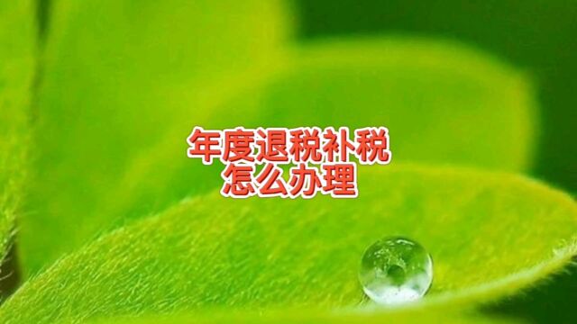 个税年度退税补税怎么办理,哪些人需要申请退税,增加了哪些抵扣