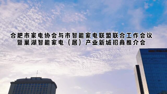 提信心拼经济促转型 | 合肥市家电协会、市智能家电联盟联合工作会议暨巢湖智能家电(居)产业新城招商推介会举办