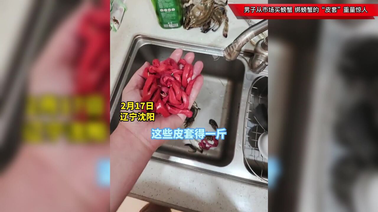 男子从市场买螃蟹,绑螃蟹的“皮套”重量惊人:螃蟹两百皮套占七八十