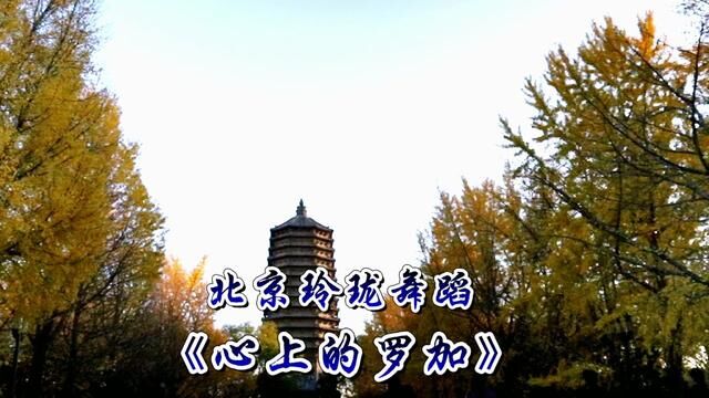 北京玲珑舞蹈《心上的罗加》亚楠青花瓷等领舞2022.11.13玲珑公园 #藏舞跳起来 #民族舞蹈舞出民族特色 #爱生活爱舞蹈