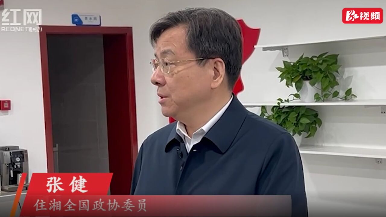 两会湘声|张健:以中国式现代化推动金融中心城市建设