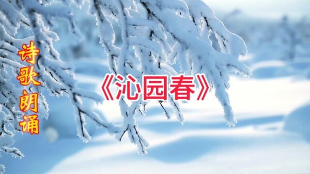 诗歌朗诵《沁园春》雪