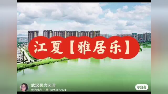 江夏——雅居乐