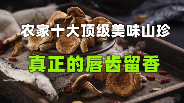 农家十大顶级美味山珍,红菇鸡枞菌葛仙米上榜,你吃过多少种呢?