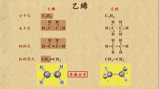 01乙烯(1)