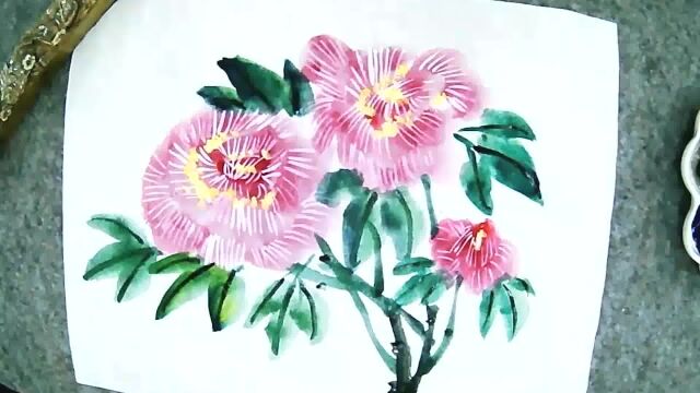 零基础学画芙蓉花技法分享