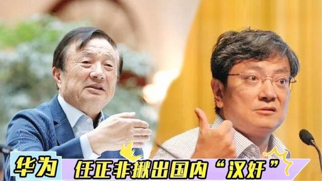 华为芯片成照妖镜,任正非揪出国内“汉奸”,郑强一语道破玄机