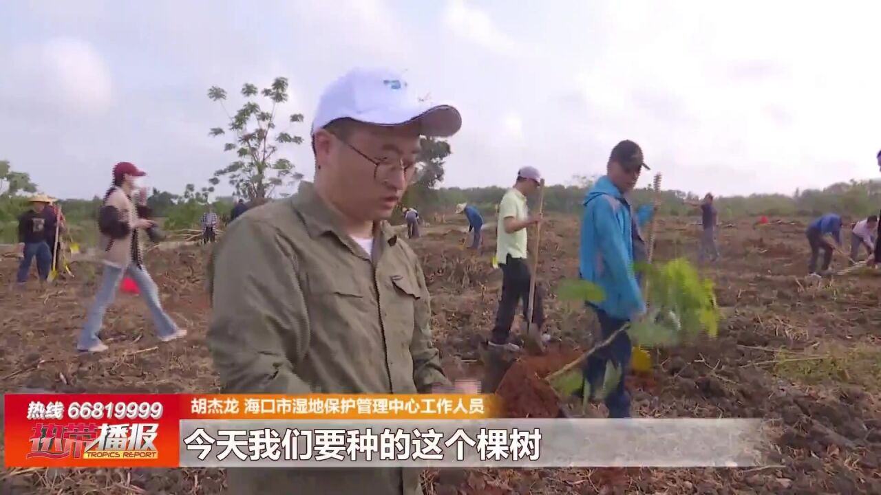 3ⷱ2植树节:栽下荔枝树 护绿正当时