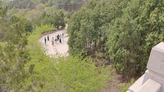 唐山桃花山一起好好玩儿