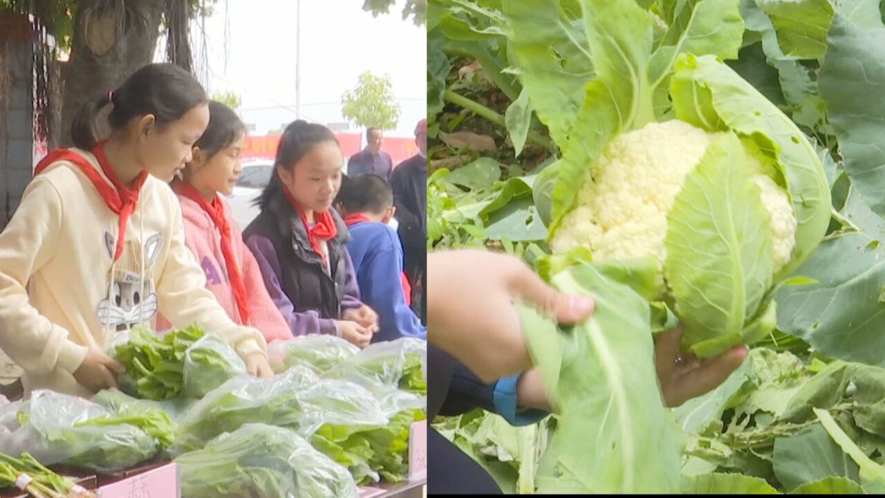 寓教于乐践行公益!学生义卖自己种植的蔬菜,吸引不少市民来捧场