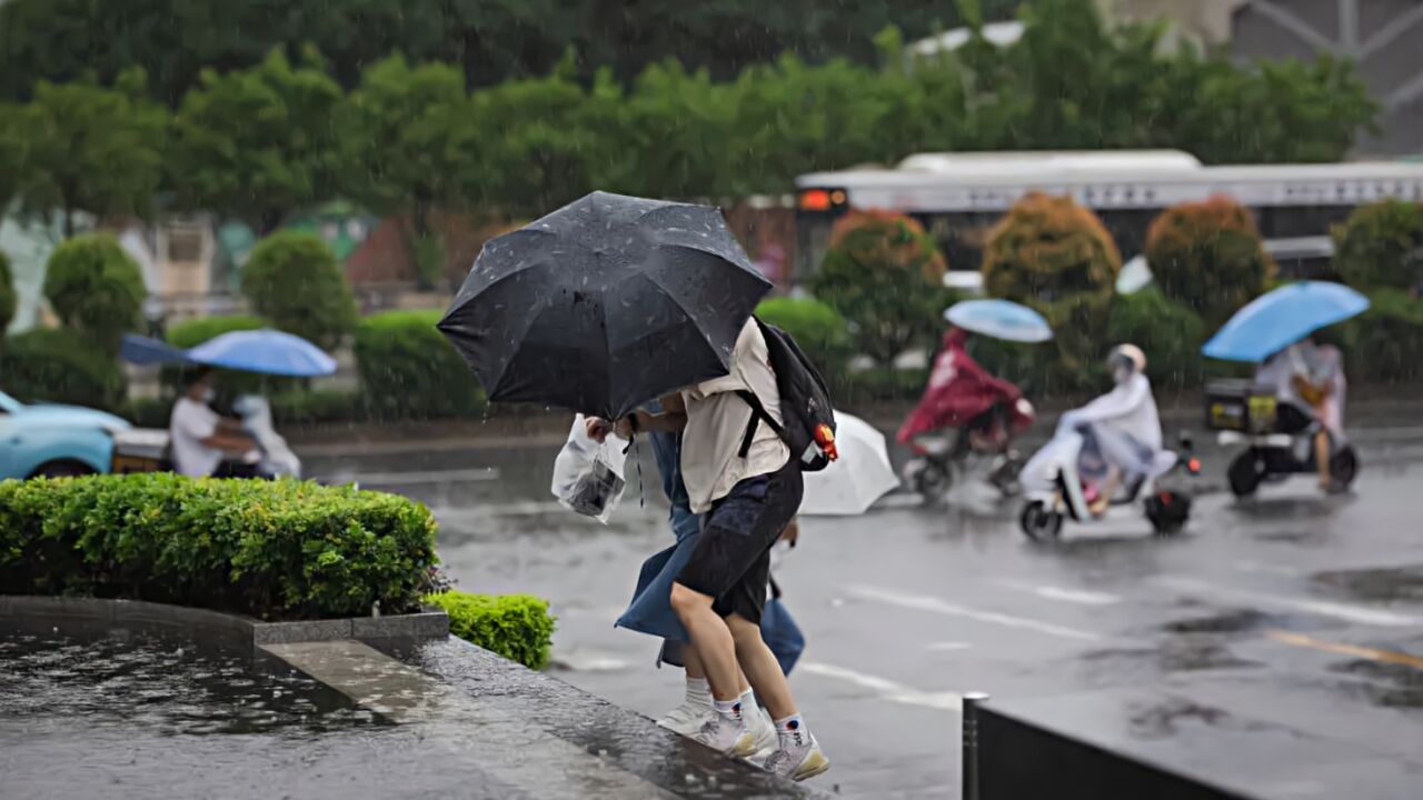 预警升级!台风蓝色预警信号生效中!台风“小犬”正在靠近!