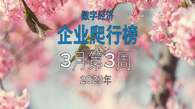 数字经济企业爬行榜2023年3月18日