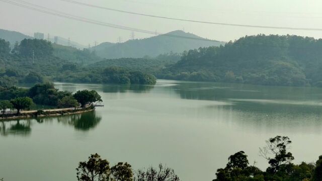 远望梧桐山!近观深圳水库!风景优美!深圳淘金山绿道.