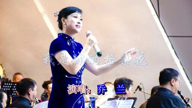 我是你的格桑花 演唱:乔 兰 视频:zp4955(张鹏) 词曲:王琪